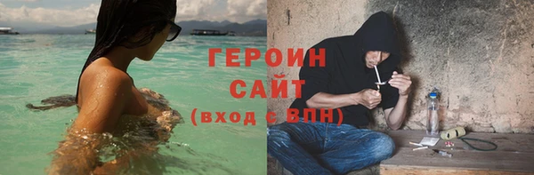 шишки Лабытнанги