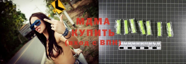 шишки Лабытнанги