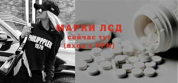 шишки Лабытнанги