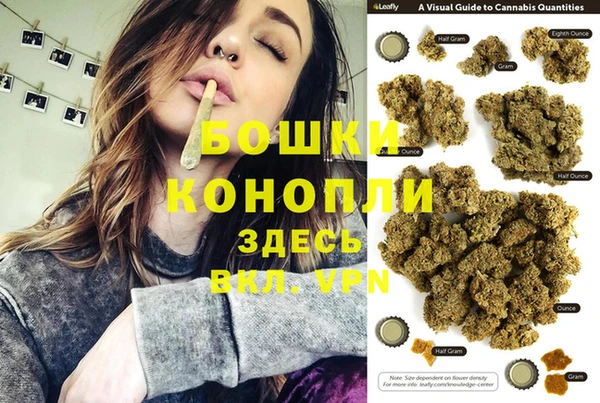 скорость Ладушкин