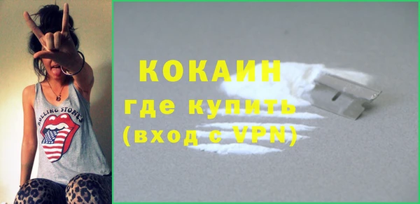 шишки Лабытнанги