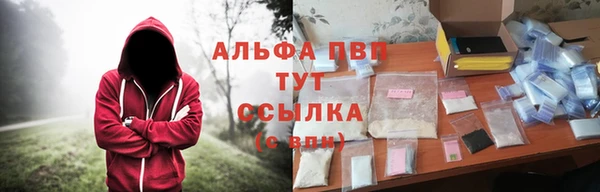 скорость Ладушкин