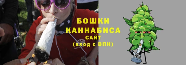 PSILOCYBIN Лагань