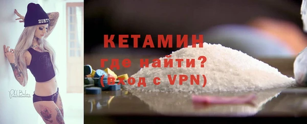 шишки Лабытнанги