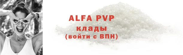 шишки Лабытнанги