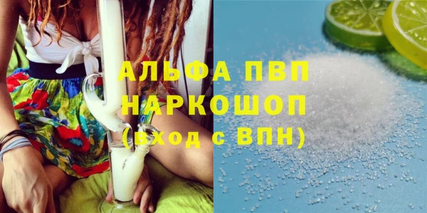 PSILOCYBIN Лагань