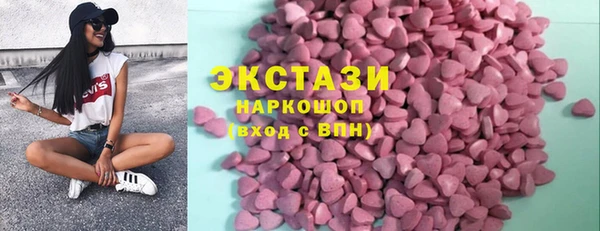 крисы Кулебаки
