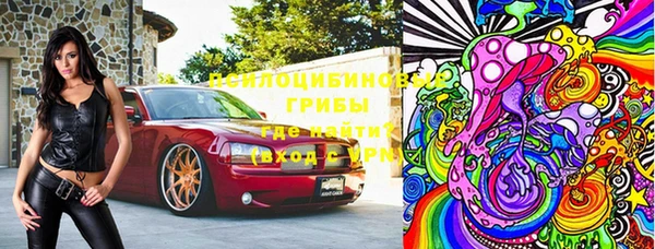 скорость Ладушкин