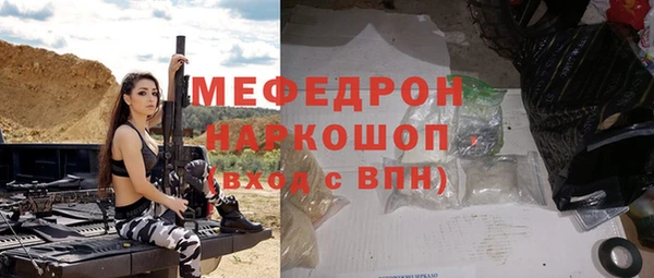 шишки Лабытнанги
