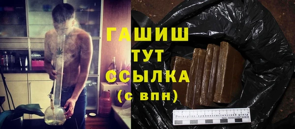 шишки Лабытнанги