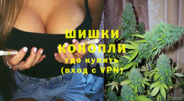 PSILOCYBIN Лагань
