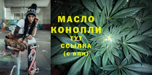 шишки Лабытнанги