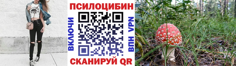Псилоцибиновые грибы Cubensis  купить   Маркс 