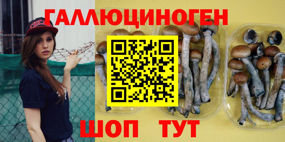 купить наркотик  Вход с VPN  Маркс  Псилоцибиновые грибы Psilocybe 