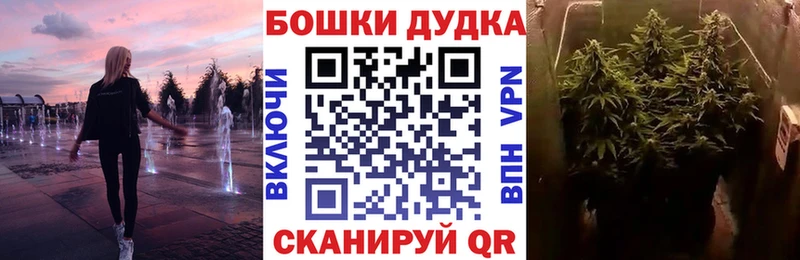 Бошки Шишки семена  где можно купить   Маркс 